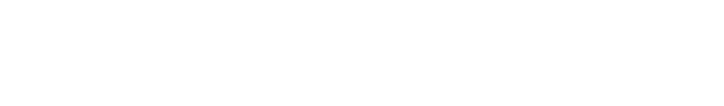 Vorflux